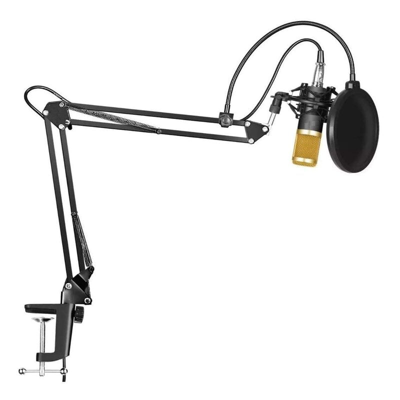 Micrófono Profesional Condensador Dreizt Bm800 Estudio Tiktok Youtube gold