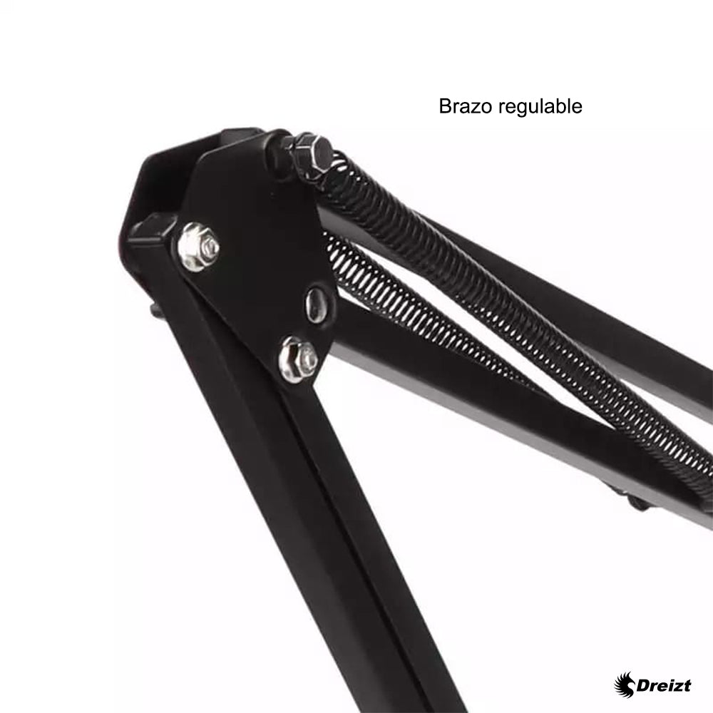 Micrófono Profesional Condensador Dreizt Bm800 Estudio Tiktok Youtube Black