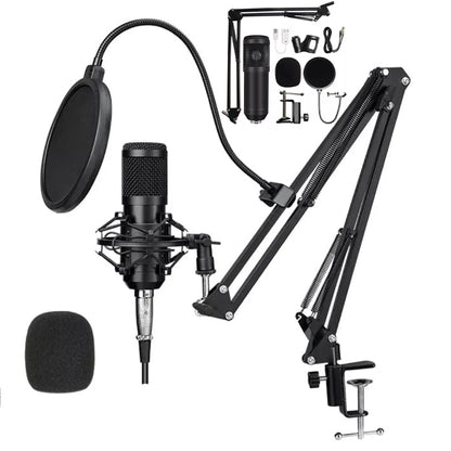 Micrófono Profesional Condensador Dreizt Bm800 Estudio Tiktok Youtube Black