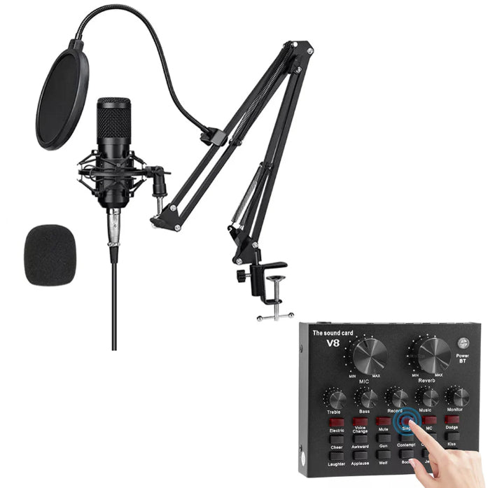 Microfono Profesional con Consola Tarjeta de Sonido Bm-800 Dreizt Black