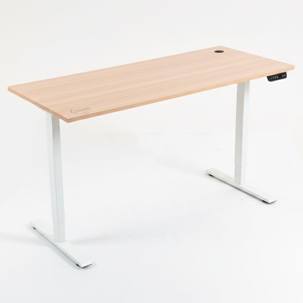 Escritorio Eléctrico Dreizt Altura Regulable 150x60 Xdesk Smart