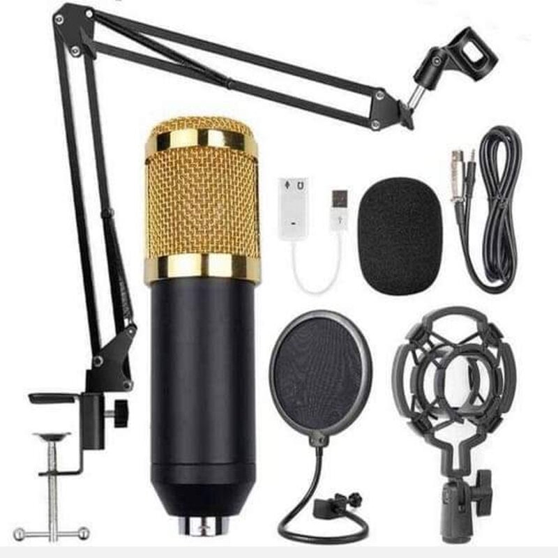 Micrófono Profesional DBugg MD67 / Negro / Auxiliar 3.5 mm
